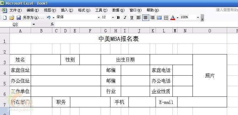 e	xcel表格选项怎么做
